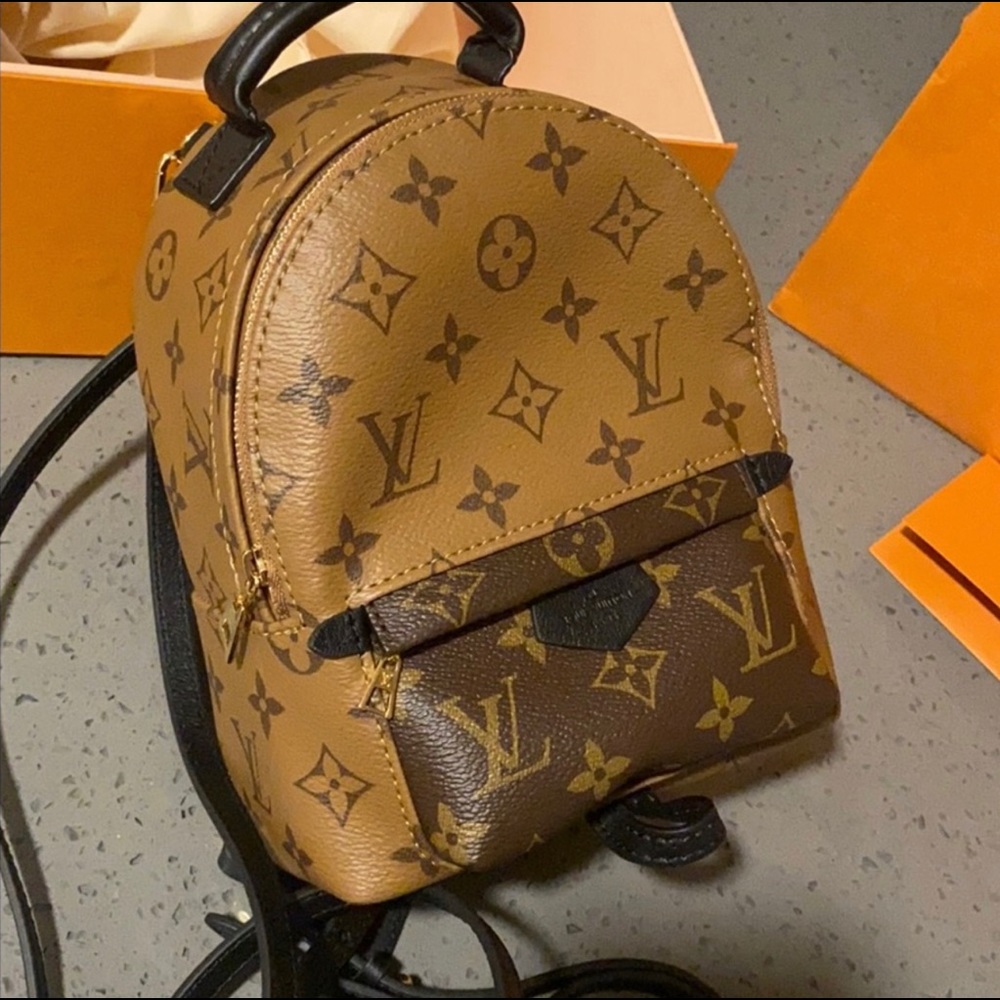 Louis Vuitton Palm Springs Mini Backpack - Picture 12 of 12